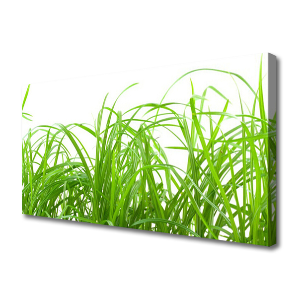 Canvas Wall art Grass nature green