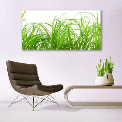 Canvas Wall art Grass nature green