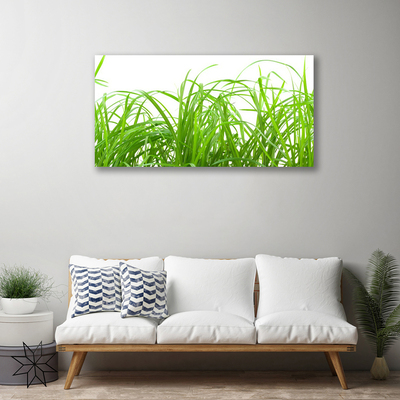 Canvas Wall art Grass nature green