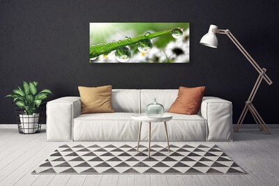 Canvas Wall art Grass dew drops nature green