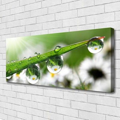 Canvas Wall art Grass dew drops nature green