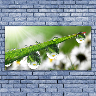 Canvas Wall art Grass dew drops nature green