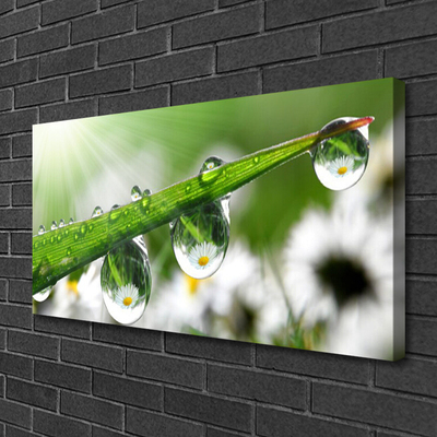 Canvas Wall art Grass dew drops nature green