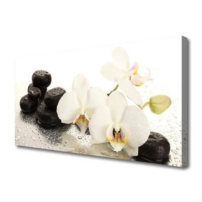 Canvas Wall art Flower stones floral white black