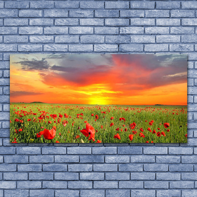 Canvas Wall art Poppies sun nature red green yellow grey