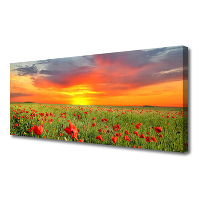 Canvas Wall art Poppies sun nature red green yellow grey