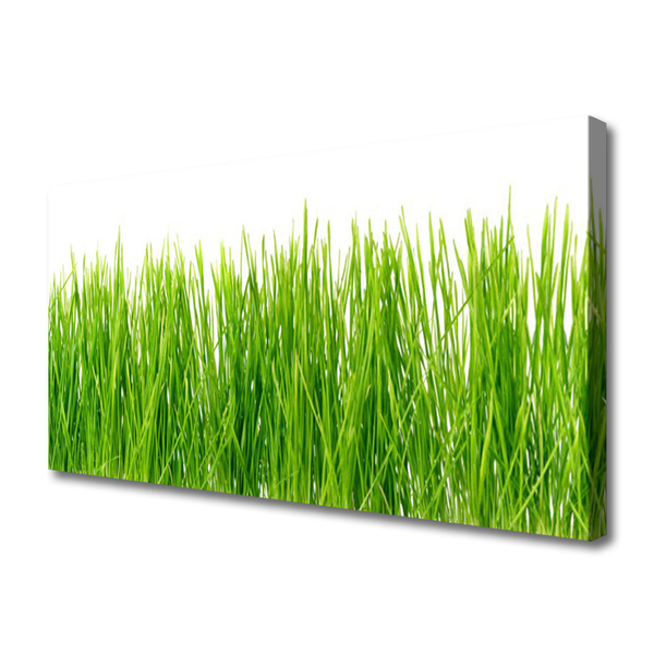 Canvas Wall art Grass nature green