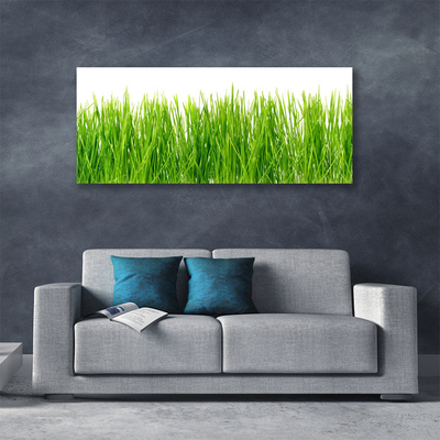 Canvas Wall art Grass nature green