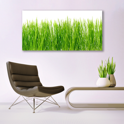 Canvas Wall art Grass nature green