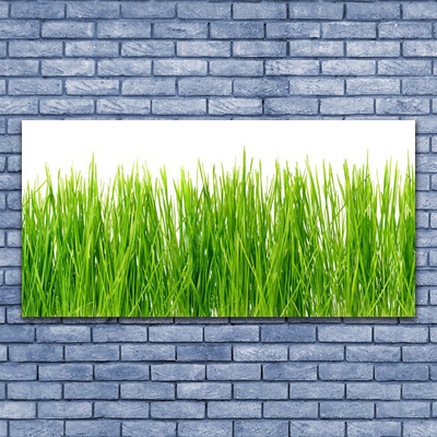 Canvas Wall art Grass nature green