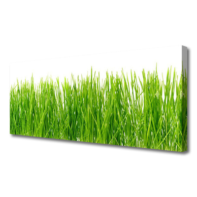 Canvas Wall art Grass nature green