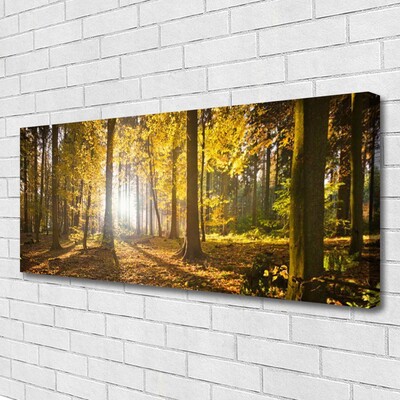 Canvas Wall art Forest nature brown green