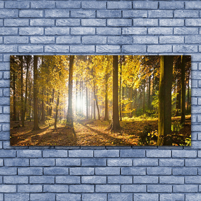 Canvas Wall art Forest nature brown green