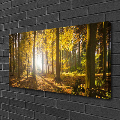 Canvas Wall art Forest nature brown green