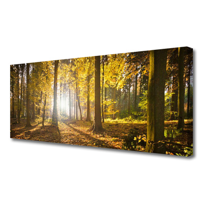 Canvas Wall art Forest nature brown green