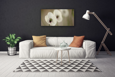 Canvas Wall art Flower floral white