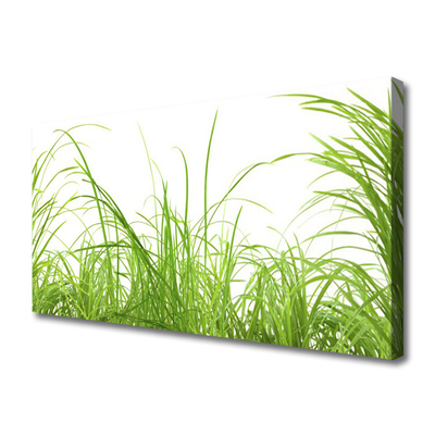 Canvas Wall art Grass nature green