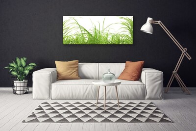 Canvas Wall art Grass nature green