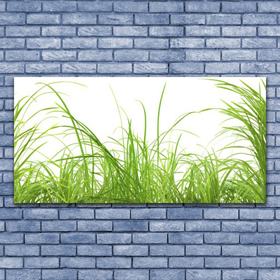 Canvas Wall art Grass nature green