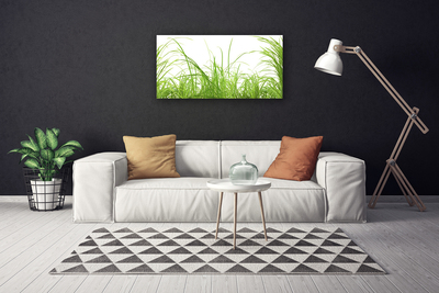 Canvas Wall art Grass nature green