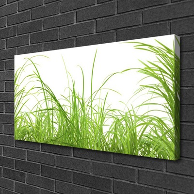 Canvas Wall art Grass nature green