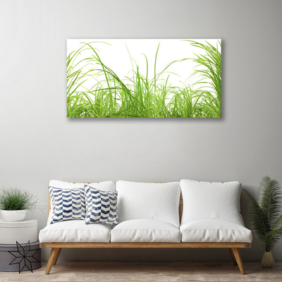 Canvas Wall art Grass nature green