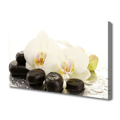 Canvas Wall art Flower stones art white black