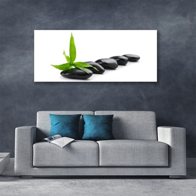 Canvas Wall art Stones leaves art black green