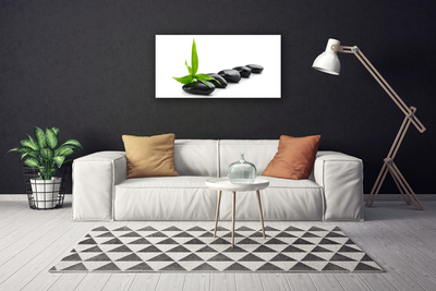 Canvas Wall art Stones leaves art black green