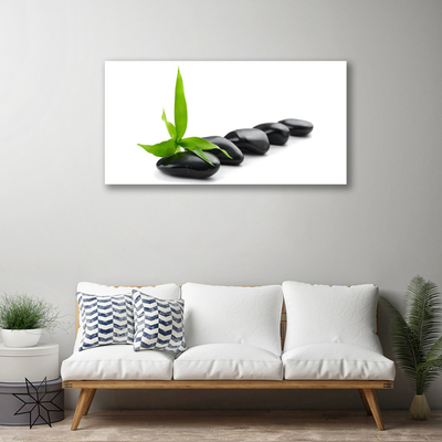 Canvas Wall art Stones leaves art black green