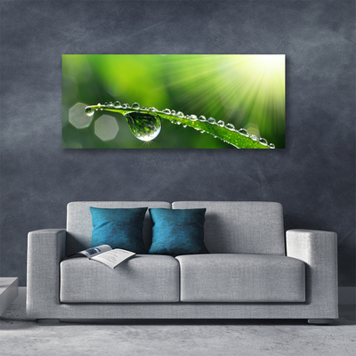 Canvas Wall art Grass dew drops floral green