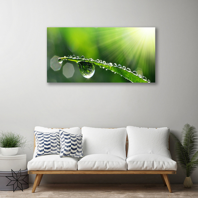 Canvas Wall art Grass dew drops floral green