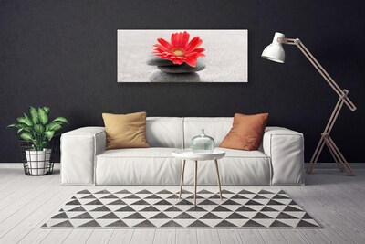 Canvas Wall art Flower stones art orange grey