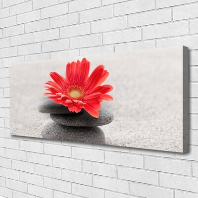 Canvas Wall art Flower stones art orange grey