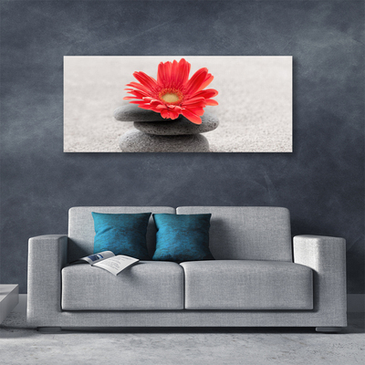 Canvas Wall art Flower stones art orange grey