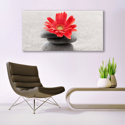 Canvas Wall art Flower stones art orange grey