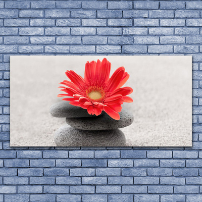 Canvas Wall art Flower stones art orange grey