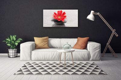 Canvas Wall art Flower stones art orange grey