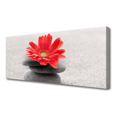 Canvas Wall art Flower stones art orange grey