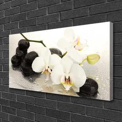 Canvas Wall art Flower stones art white black