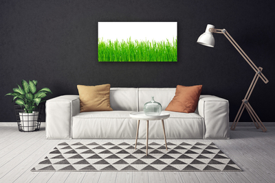 Canvas Wall art Weed nature green