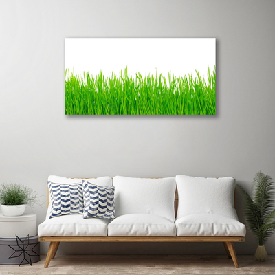 Canvas Wall art Weed nature green