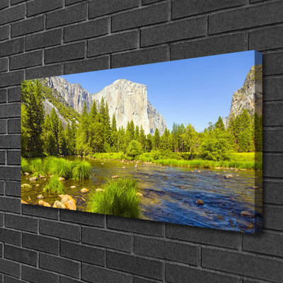 Canvas Wall art Lake mountain forest nature blue green grey