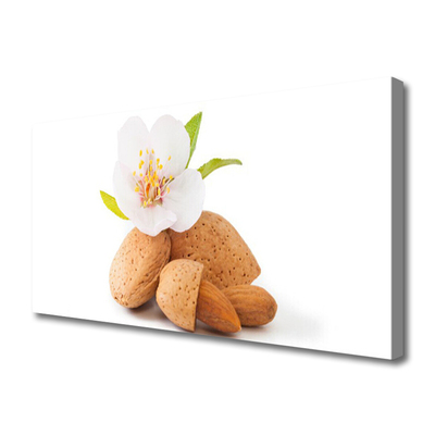 Canvas Wall art Flower pistachios floral white brown