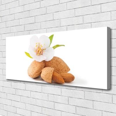 Canvas Wall art Flower pistachios floral white brown