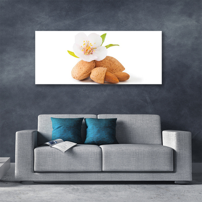 Canvas Wall art Flower pistachios floral white brown