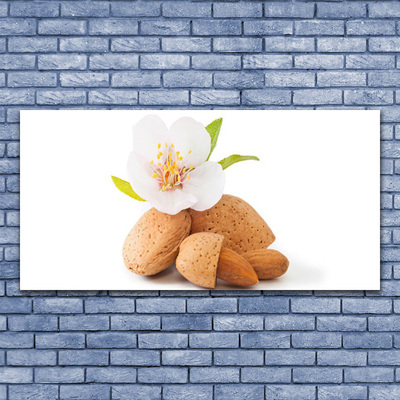 Canvas Wall art Flower pistachios floral white brown