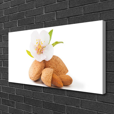 Canvas Wall art Flower pistachios floral white brown