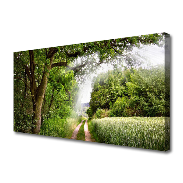 Canvas Wall art Trees footpath nature brown green