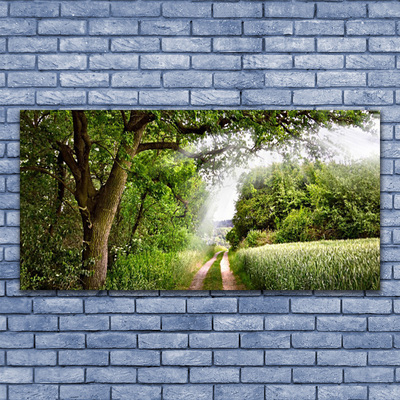 Canvas Wall art Trees footpath nature brown green